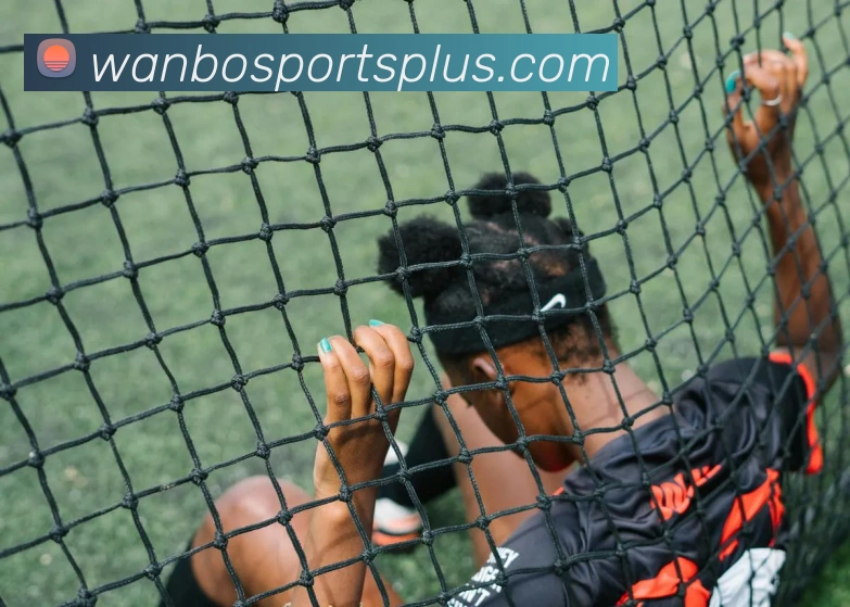 万博体育发展历程